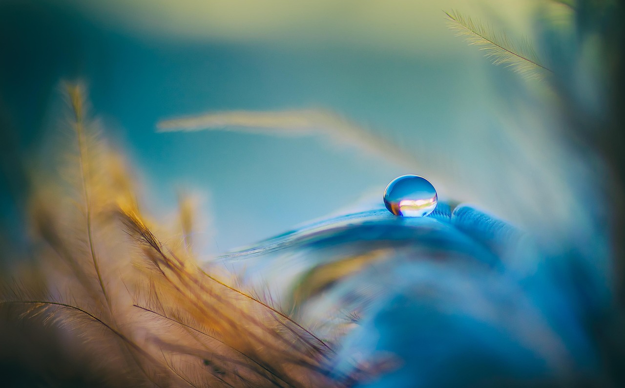 entdecken sie die kunst der work-life-balance: tipps und strategien, um berufliche anforderungen und persönliche lebensqualität harmonisch zu vereinen.