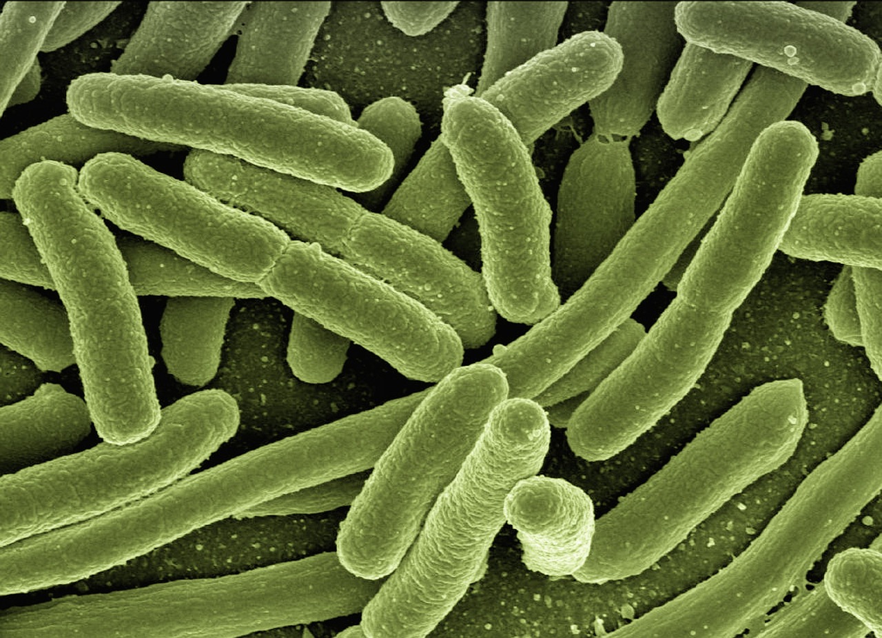 erfahren sie alles über das immunsystem: wie es funktioniert, welche rolle es beim schutz vor krankheiten spielt und wie sie es stärken können, um ihre gesundheit zu erhalten.