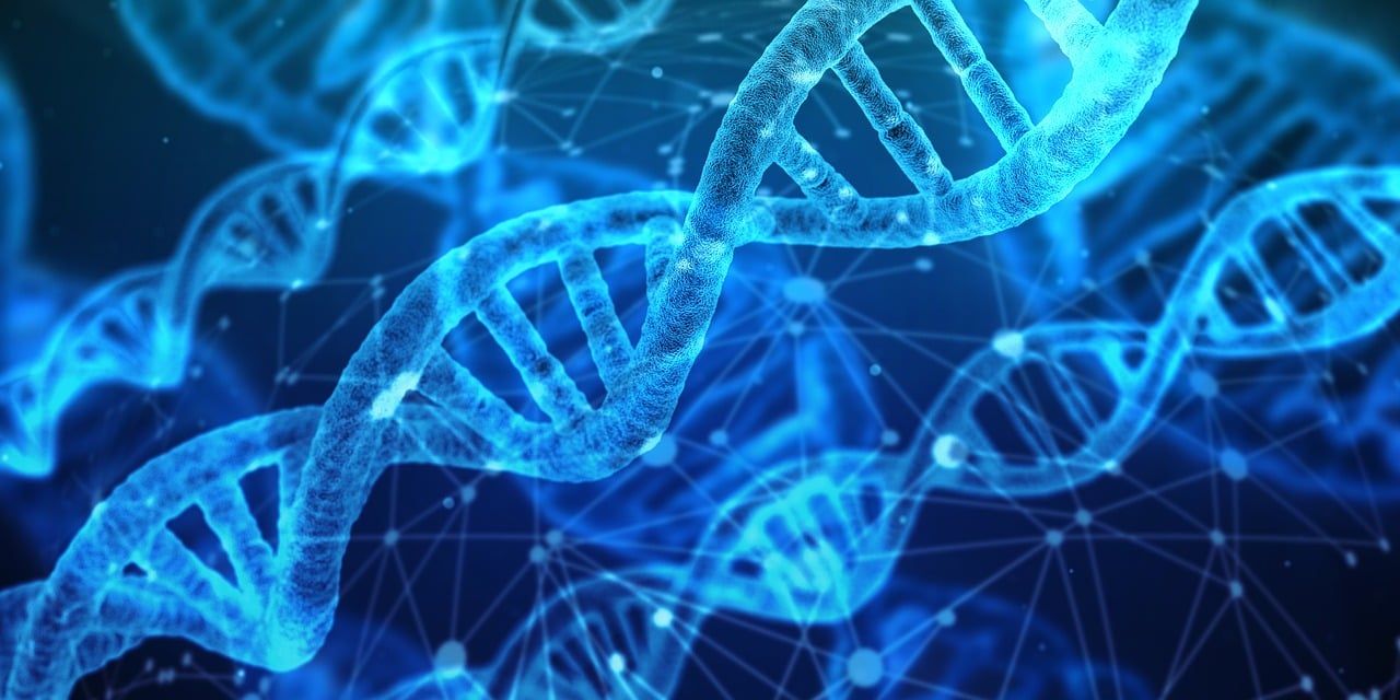 entdecken sie die neuesten technologischen innovationen, die die welt verändern. von bahnbrechenden erfindungen bis hin zu zukunftsweisenden anwendungen – erfahren sie, wie technologie unser leben revolutioniert.