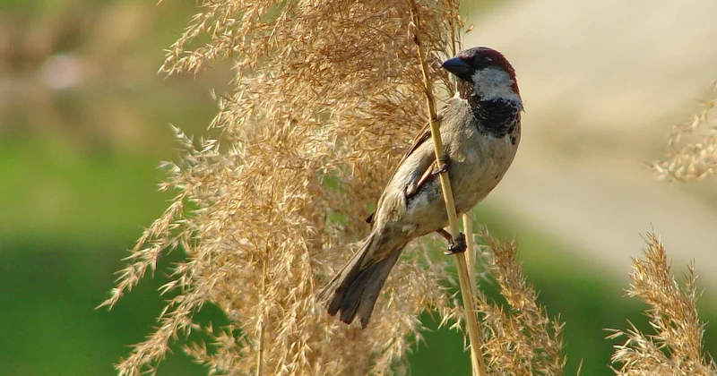 Andalusien Sehenswürdigkeiten: Natur, die Sie nicht vergessen werden