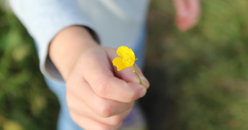 Kreative Geldgeschenke zum Geburtstag: 25 Ideen, die begeistern